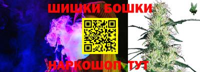 сатива Обь