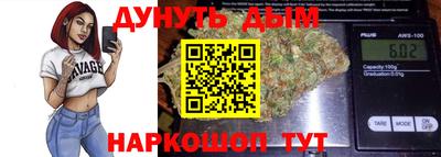 сатива Обь